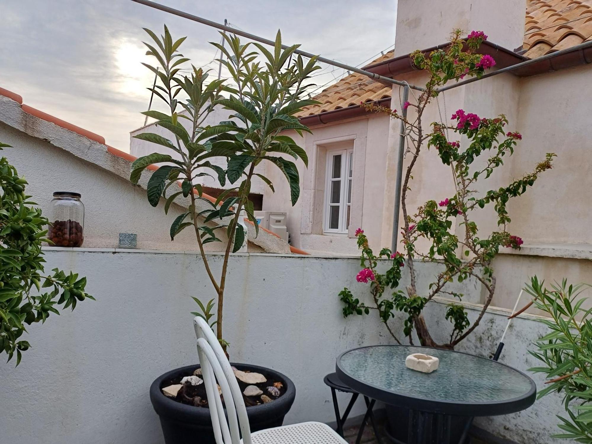 Guest House Jungher Korčula Eksteriør bilde